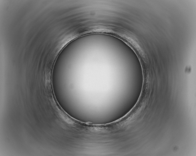 X0000096141281200802011202