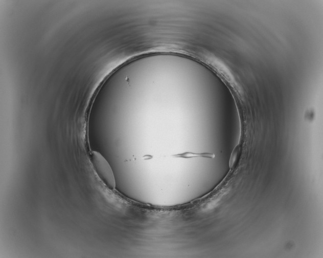 X0000096141284200802011202