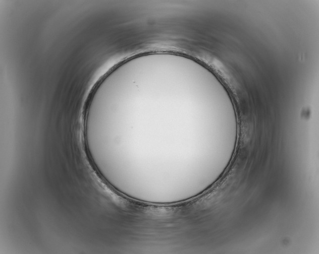 X0000096141286200802011202