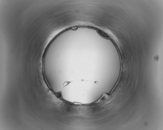 X0000096141287200802011202