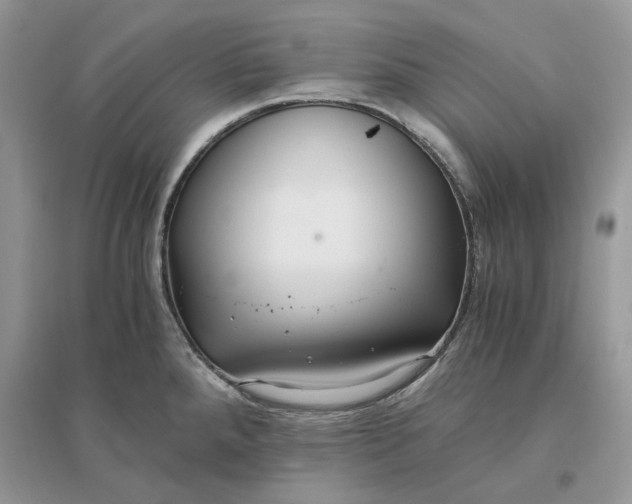X0000096141288200802011202