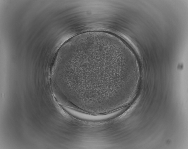 X0000096141289200802011202