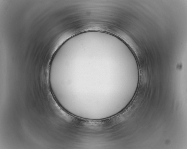 X0000096141290200802011202