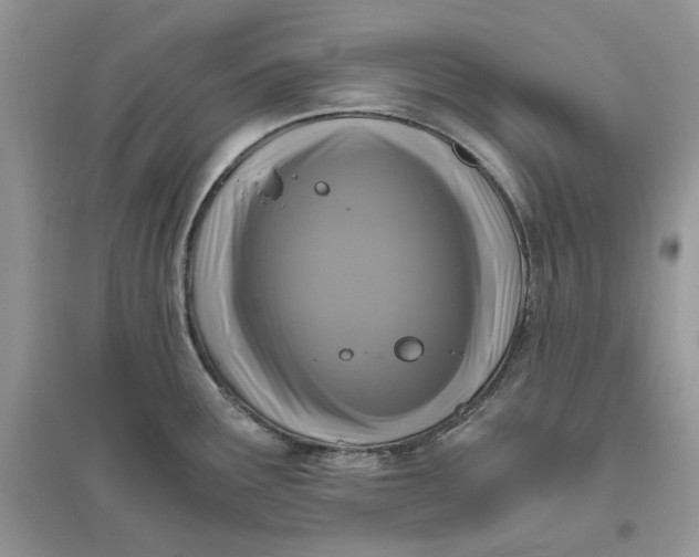 X0000096141291200802011202
