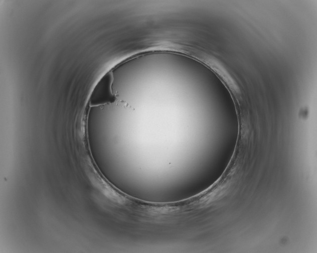 X0000096141292200802011202
