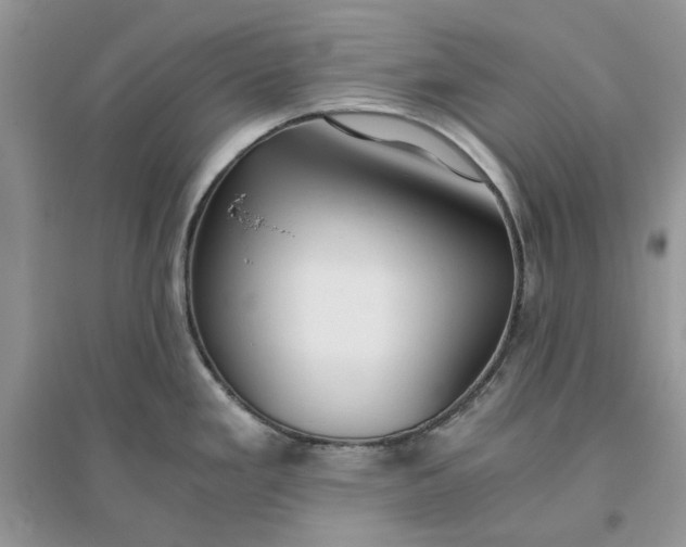 X0000096141293200802011202