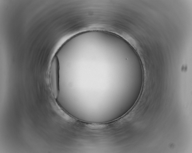 X0000096141296200802011202