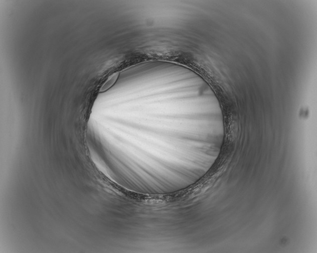 X0000096141297200802011201