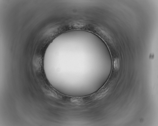 X0000096141299200802011201