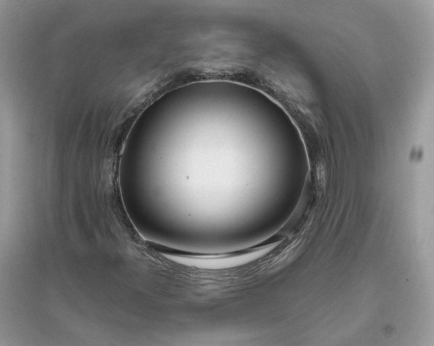 X0000096141300200802011201