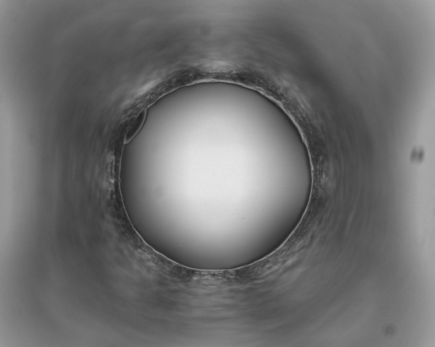 X0000096141301200802011201