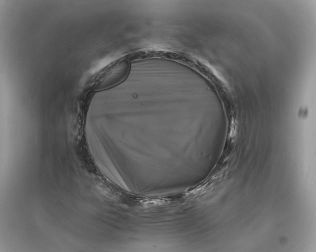 X0000096141303200802011201