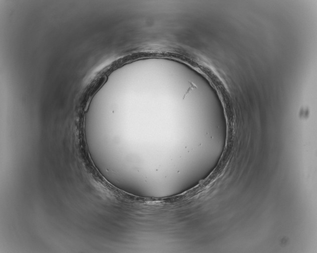 X0000096141304200802011201