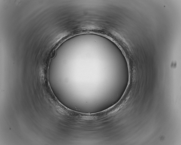X0000096141305200802011201