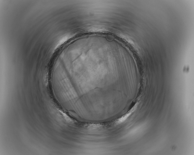 X0000096141306200802011201
