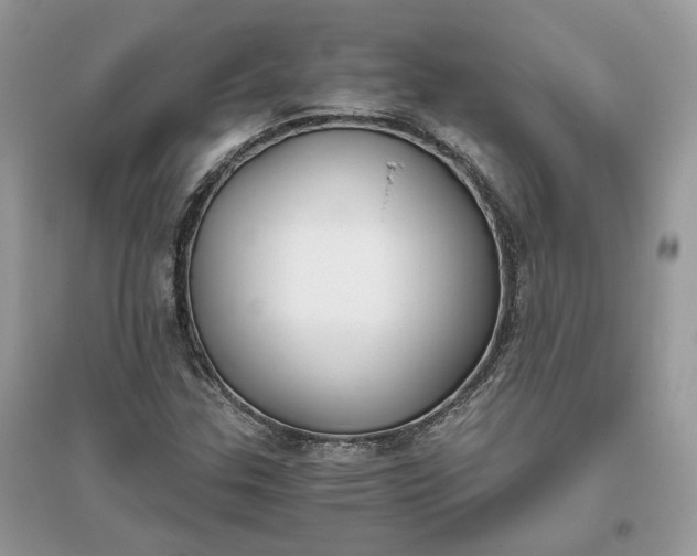 X0000096141307200802011201