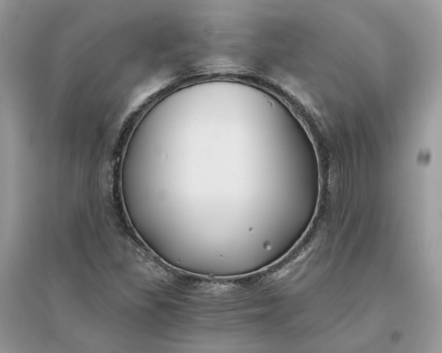 X0000096141309200802011201