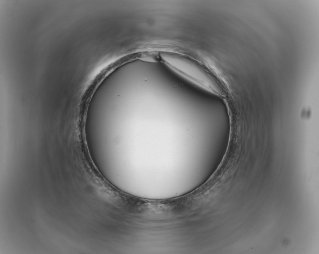 X0000096141312200802011201
