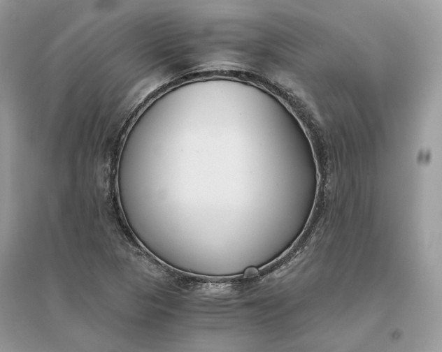 X0000096141313200802011202