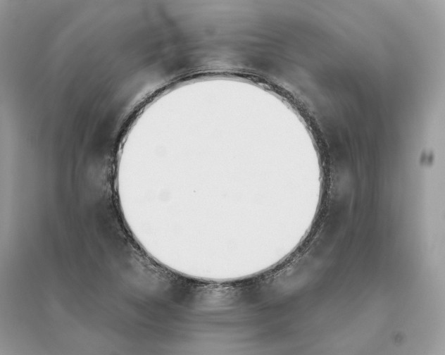 X0000096141314200802011202