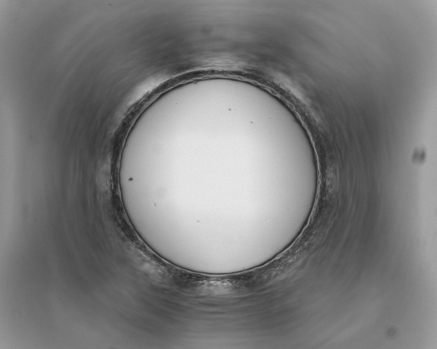 X0000096141315200802011202