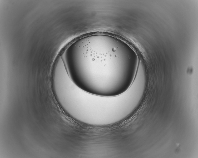 X0000096141316200802011202