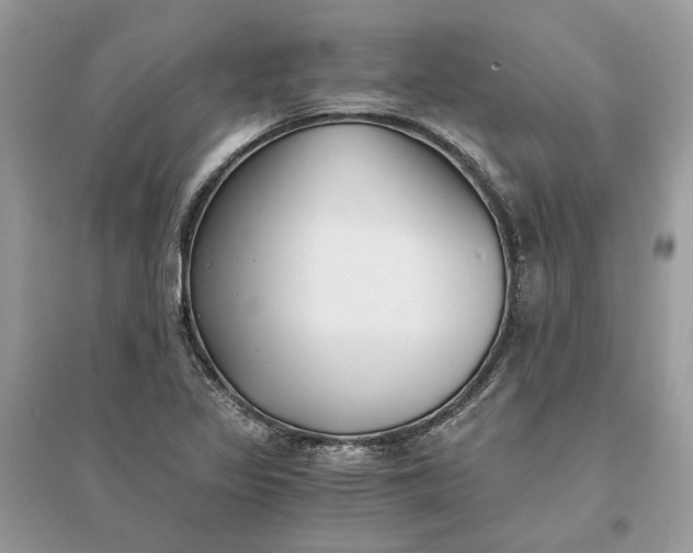 X0000096141317200802011202