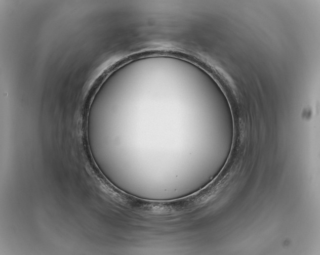 X0000096141318200802011202
