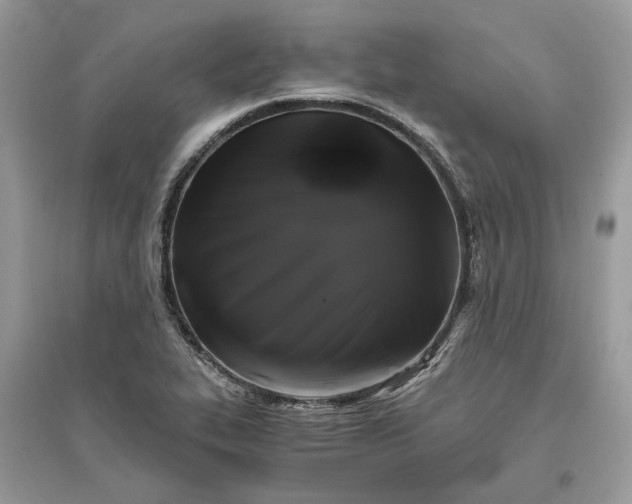 X0000096141319200802011202