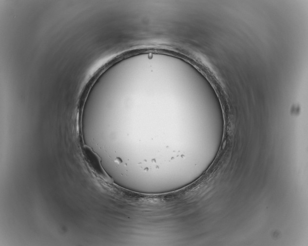 X0000096141320200802011202