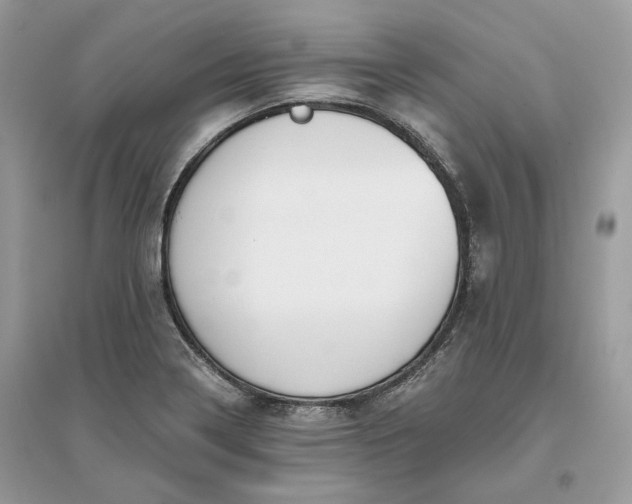 X0000096141322200802011202