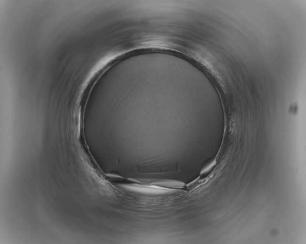X0000096141323200802011202