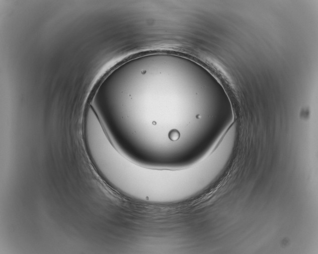 X0000096141324200802011202