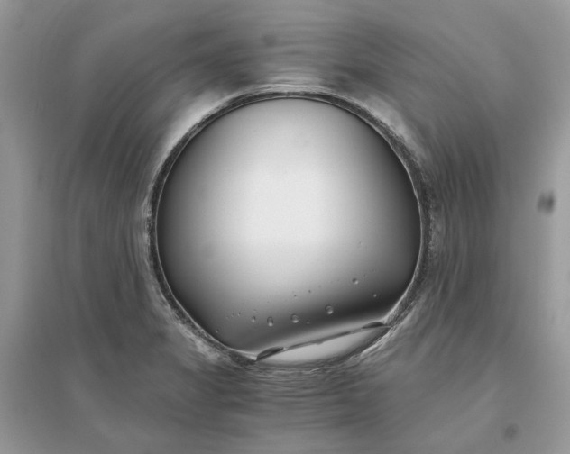 X0000096141325200802011202