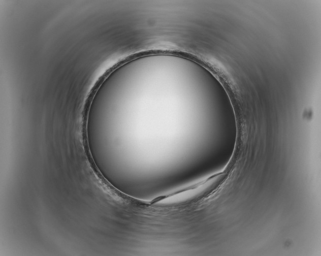 X0000096141326200802011202