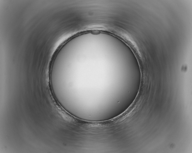 X0000096141328200802011202