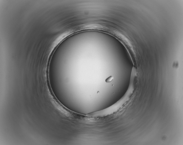 X0000096141330200802011202