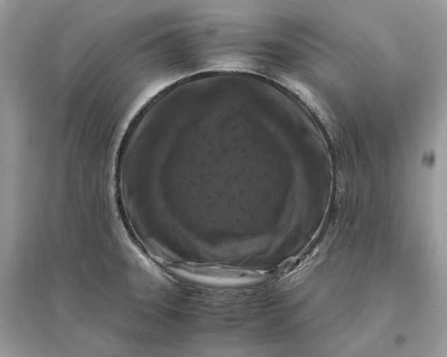 X0000096141331200802011202