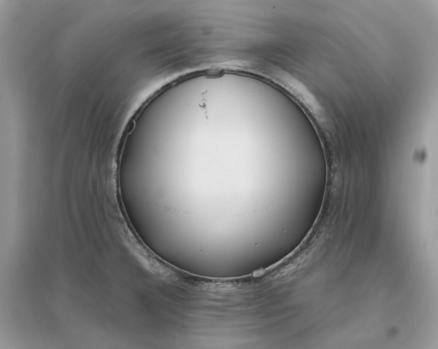 X0000096141332200802011202