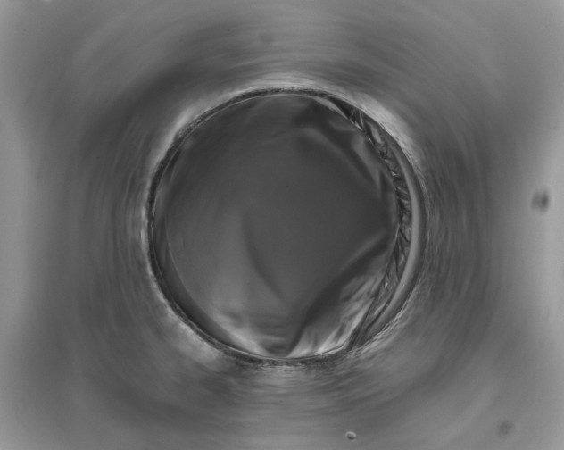 X0000096141334200802011202