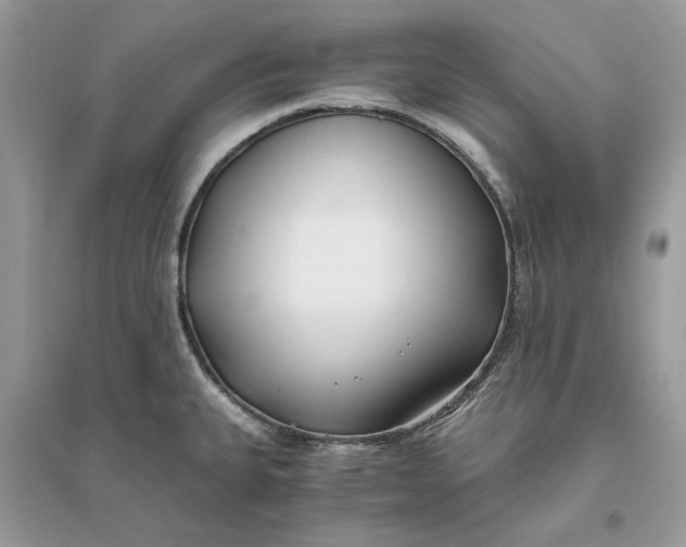 X0000096141335200802011202