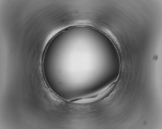 X0000096141336200802011202