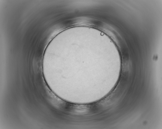 X0000096141338200802011202