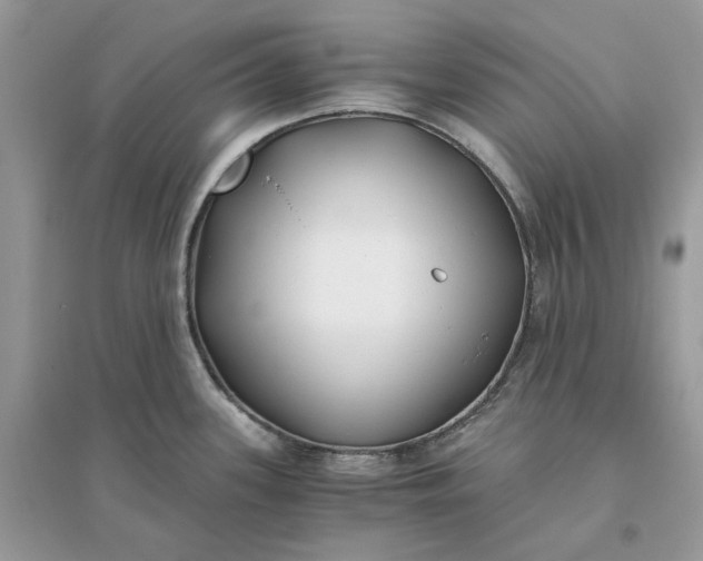 X0000096141339200802011202