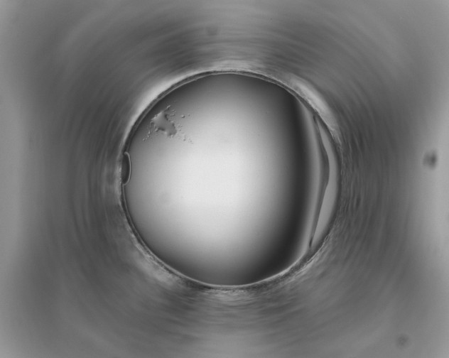 X0000096141340200802011202