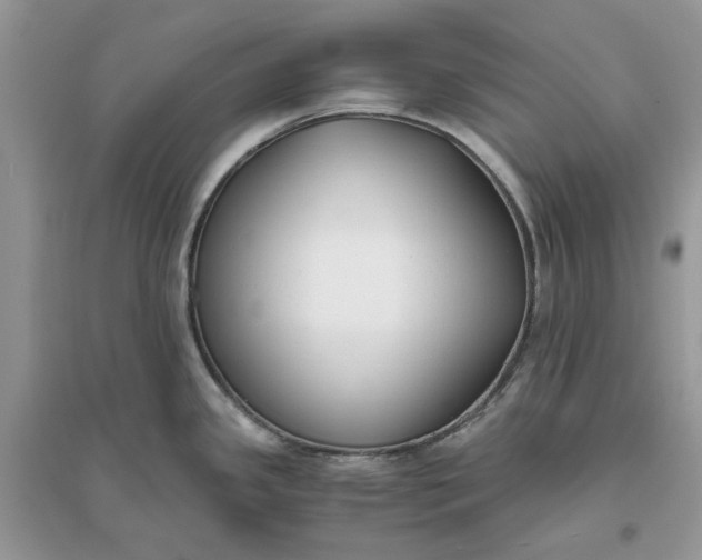 X0000096141341200802011202