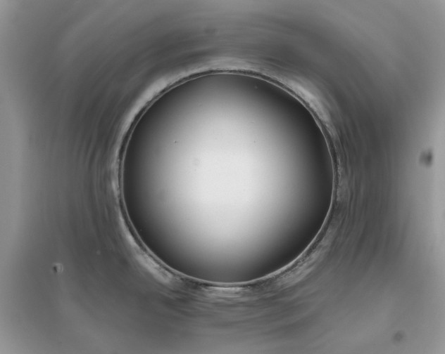 X0000096141342200802011202