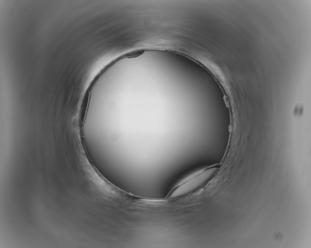 X0000096141344200802011202