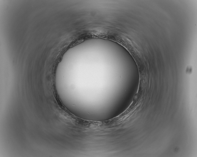 X0000096141345200802011201