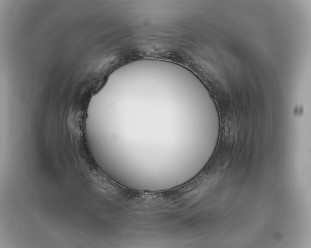 X0000096141346200802011201